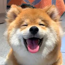 老域名