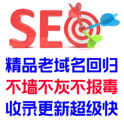 SEO老域名_搜索引擎好这口_精挑细选_祝您发财