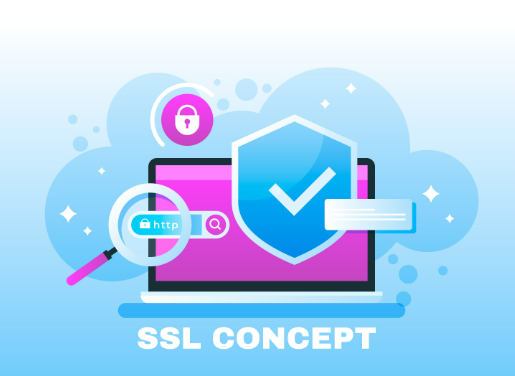 SSL Certificate Error Revealed: How to Ensure Your Website Security?