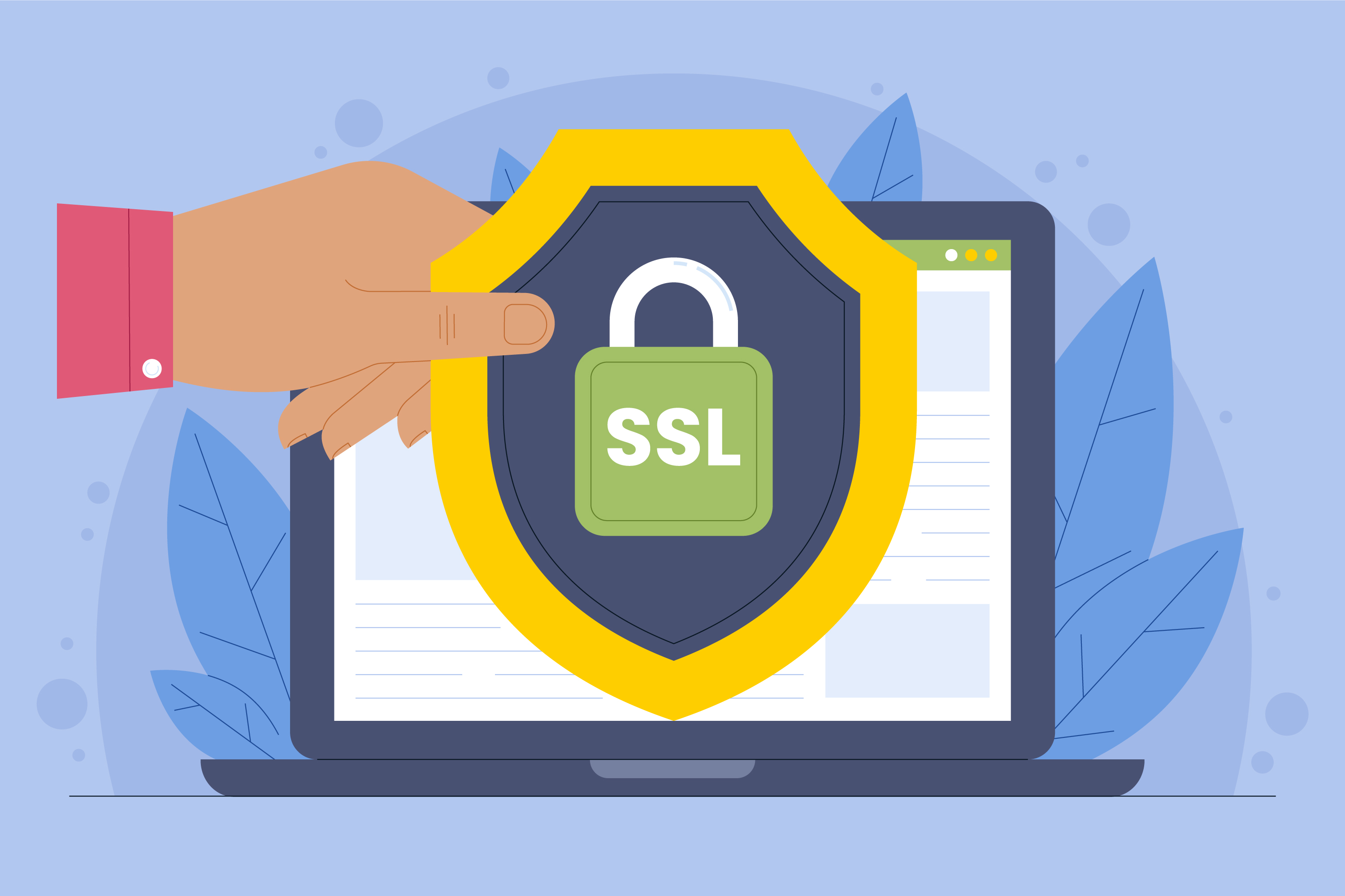SSL Certificate: Key Technology for Website Security