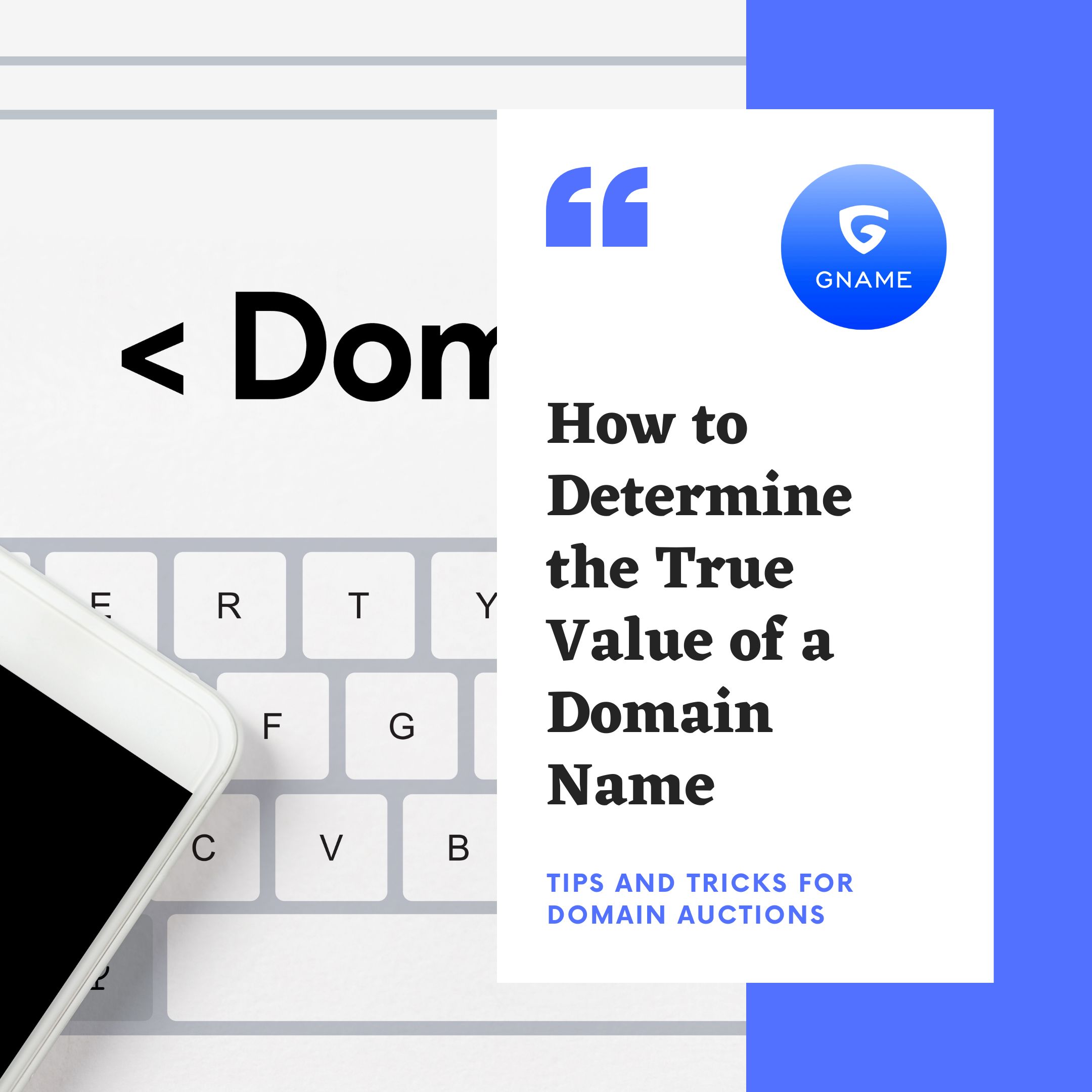 How to Evaluate a Domain Auction and Determine the True Value of a Domain Name