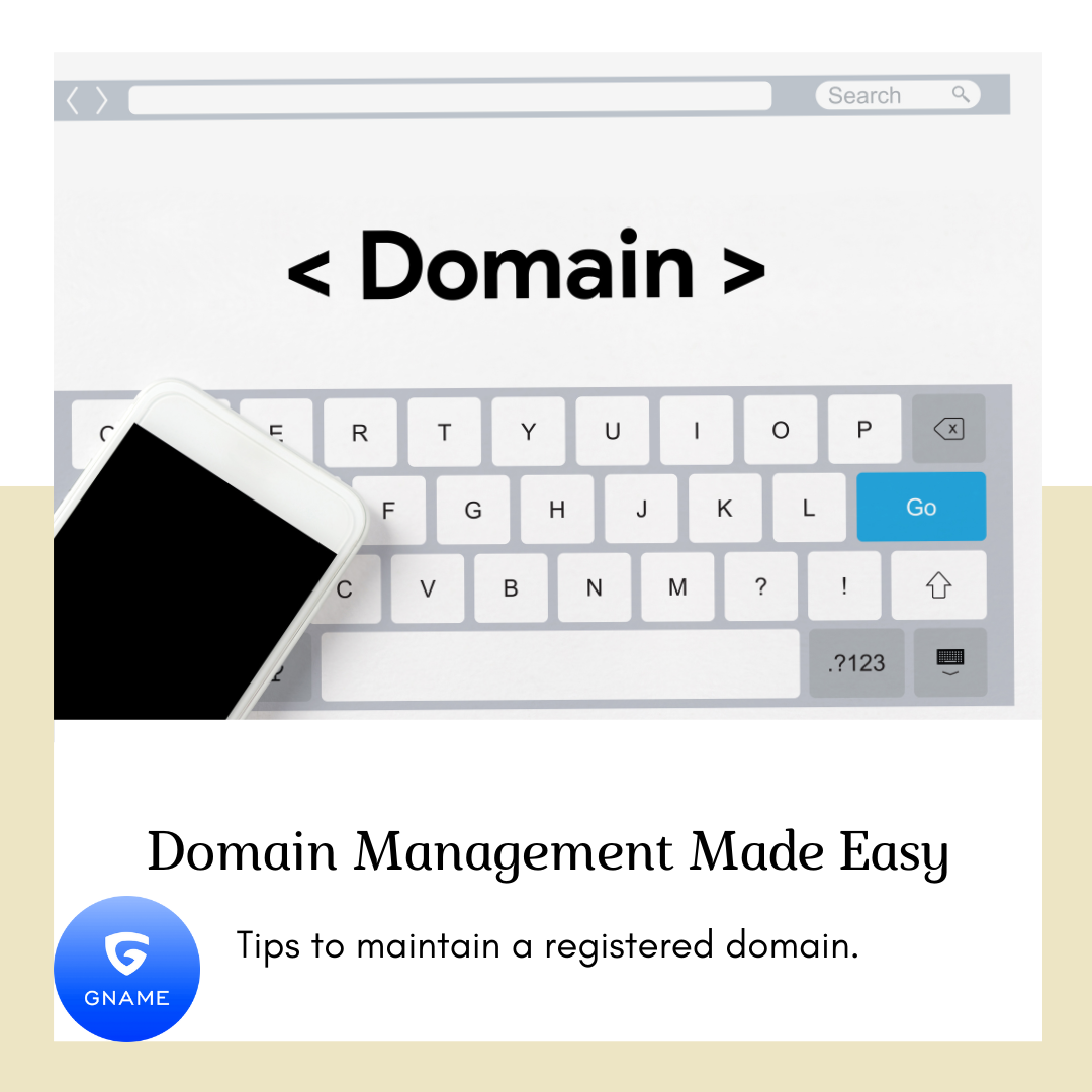 How to Manage and Maintain a Registered Domain?