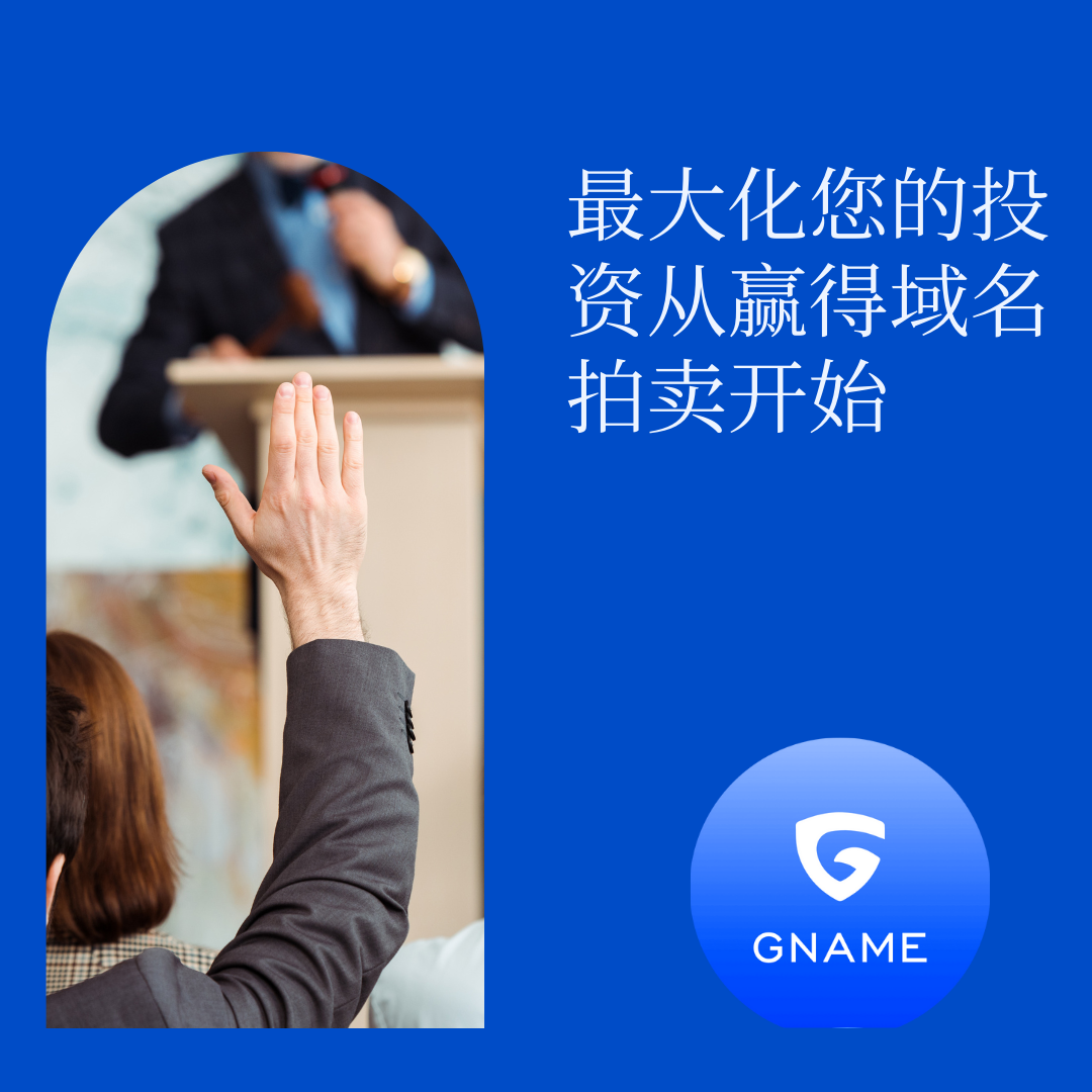 赢得域名拍卖的技巧：竞标策略和最大化投资的策略