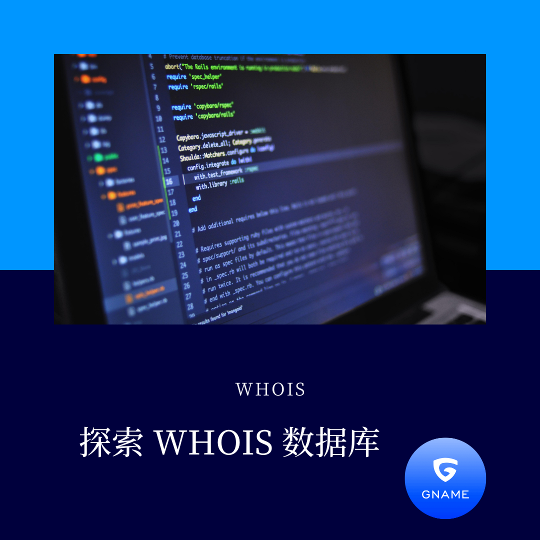 WHOIS数据库：它是什么以及如何运作