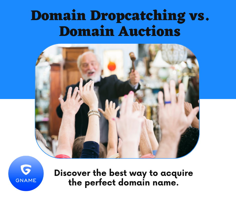 Domain Dropcatching vs. Domain Auctions: Which Option Is Right for You?