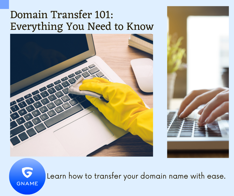 Understanding the Basics of Domain Transfer: A Comprehensive Guide for Beginners