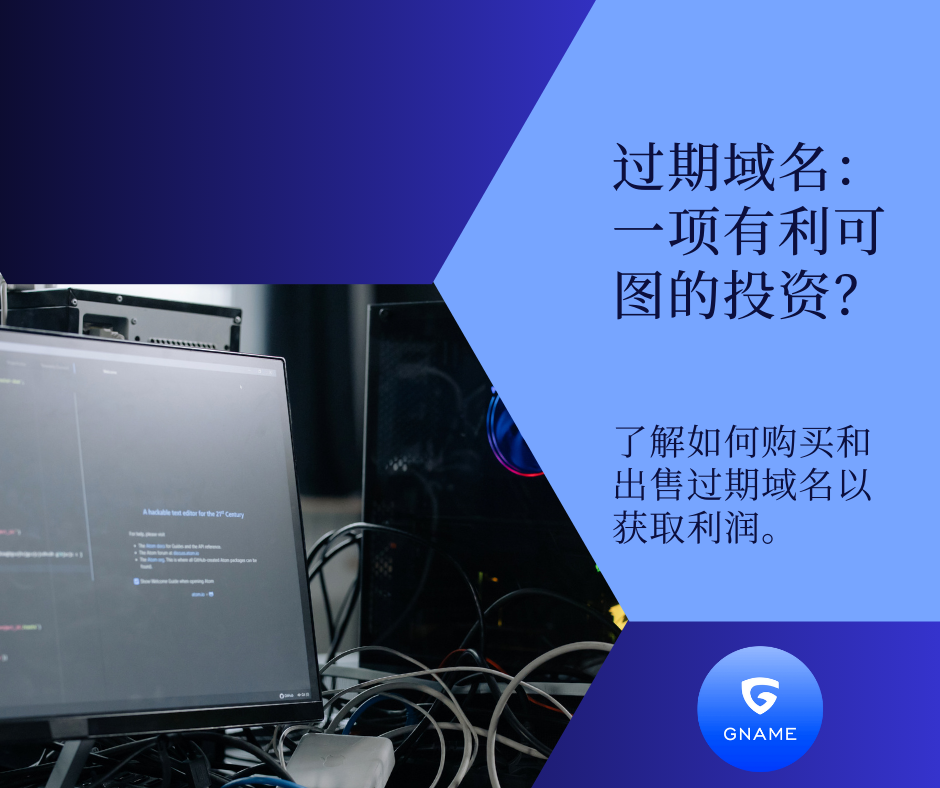 如何从购买和销售过期域名中获利