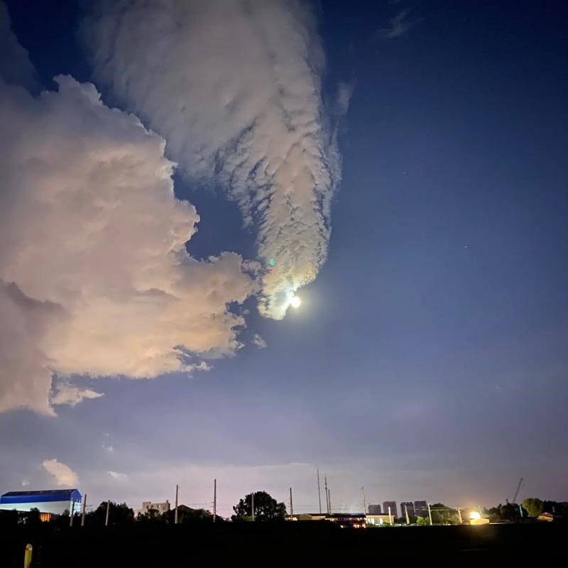 64206的一口价店铺