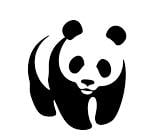 xiongmaoseo